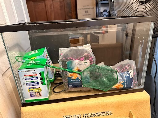 10 Gallon Glass Aquarium Tank 20