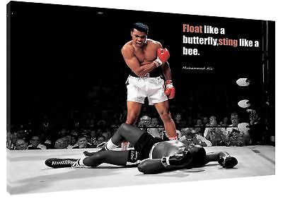 Float like a butterfly sting like a bee