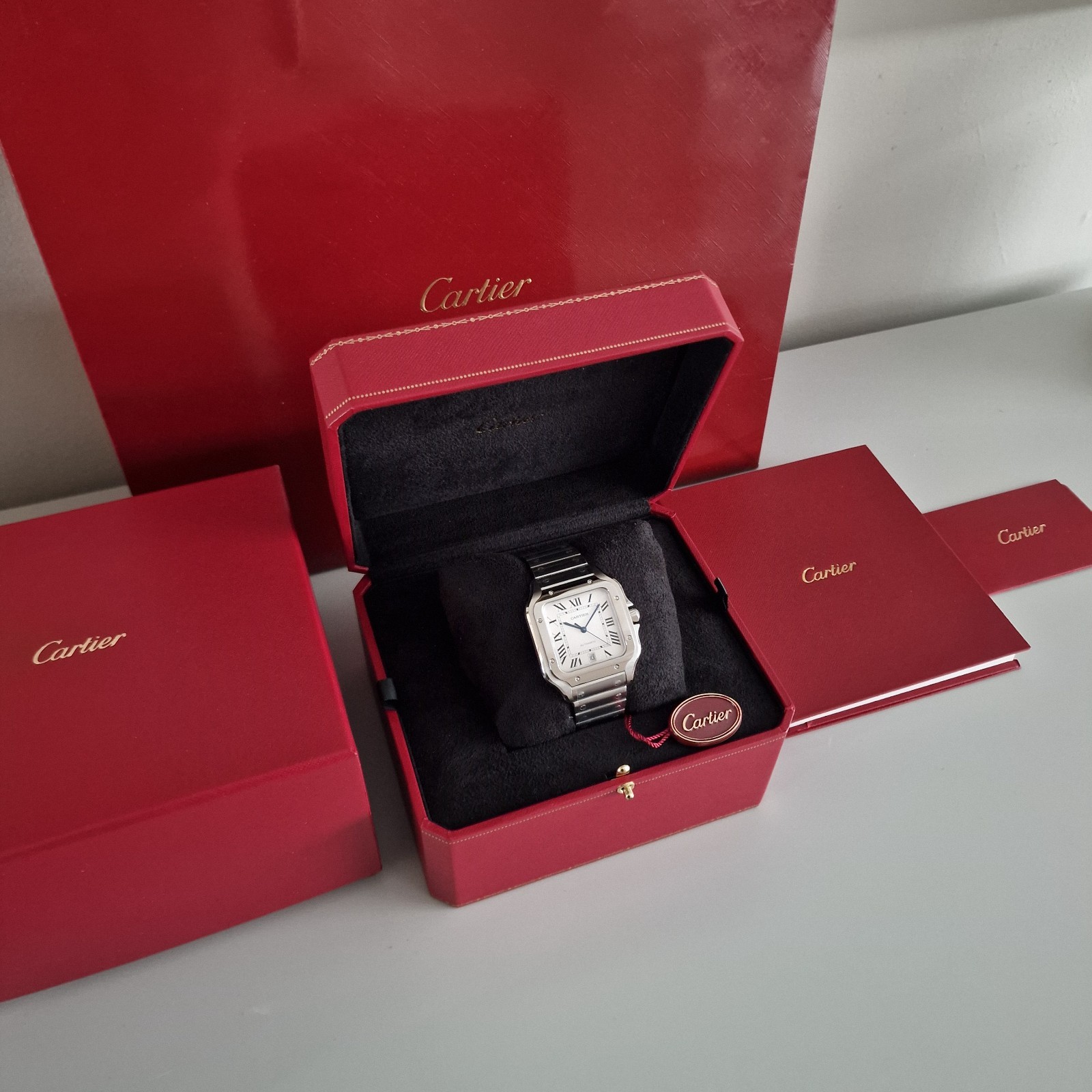 Cartier Santos WSSA0009 Large Model 39