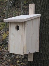 Nistkasten Starenkasten handgefertigt