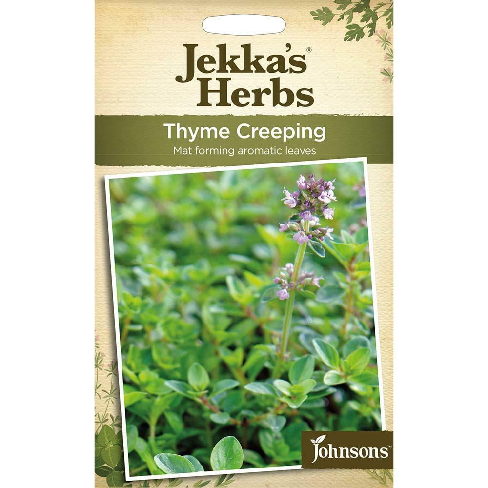 Johnsons Jekka's Herbs Thyme Creeping (Thymus Serphyllum) Seeds Packet