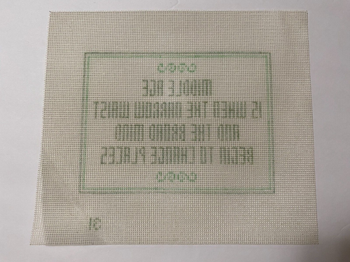 Funny Quote Humor Middle Age Fat Narrow-Minded Hand-Painted Needlepoint Canvas - Picture 3 of 7