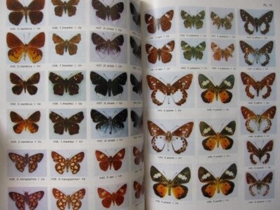 Butterflies of Borneo Vol.1 + Vol.2-1 Lycaenidae Vol.2-2