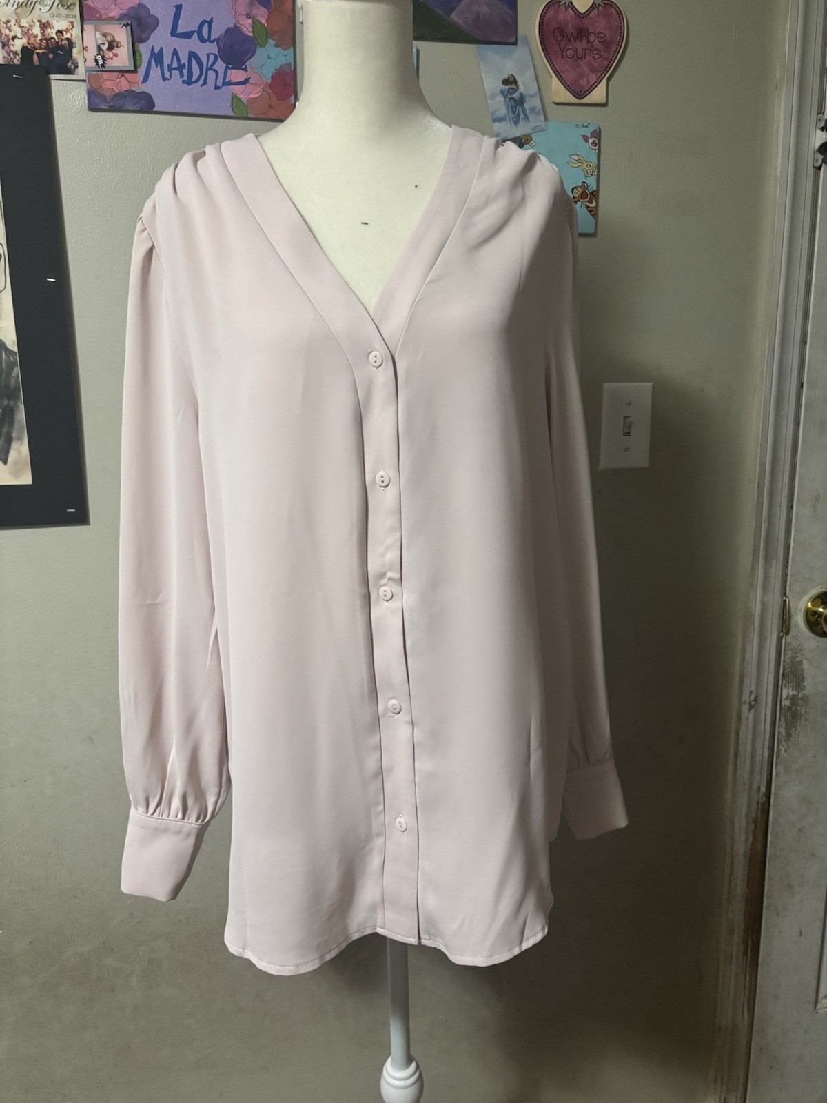 Women’s Light Pink Long Sleeve V-Neck Button Front Solid Blouse Casual