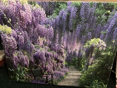 Beautiful Blue Moon Wisteria Painting. 20  Length, 17  Width And 2.5   Wide