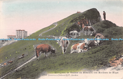 R380897 Troupeau de Vaches au Sommet des Rochers de Naye 5931 Charnaux Freres