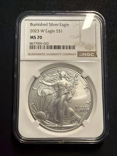 2023-W Burnished Silver Eagle MS70 NGC Brown Label