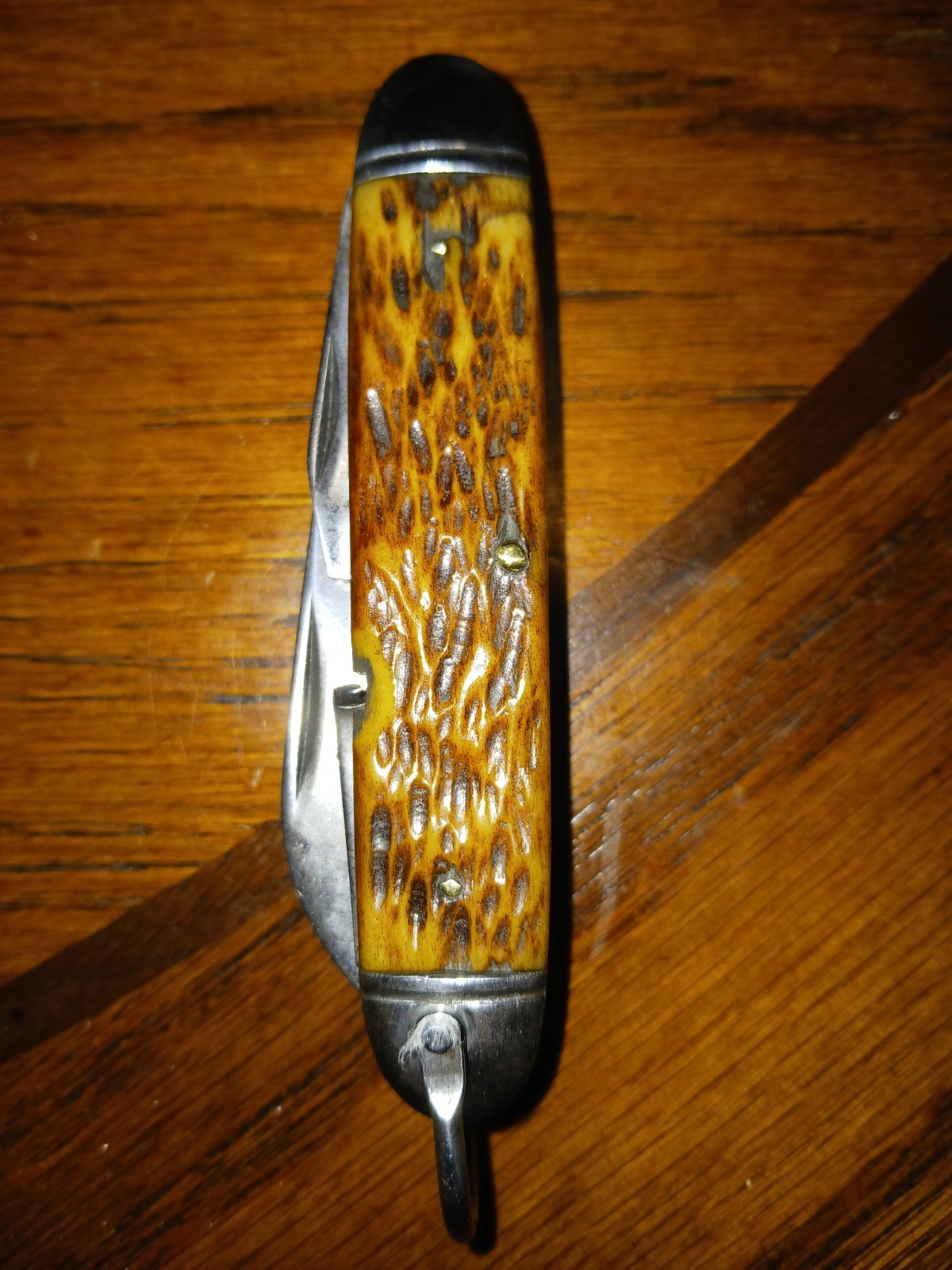 VINTAGE USA CAMILLUS NY 4 BLADE BONE HANDLE POCKET KNIFE