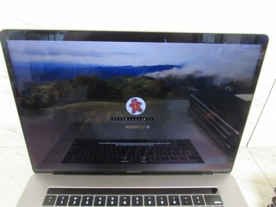Genuine Apple MacBook Pro 15'' A1990 2018 LCD Display Assembly 