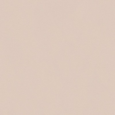 A.S. Création | Il Decoro | 309150 | Vliestapete | Einfarbig | 10.05x0.53 m