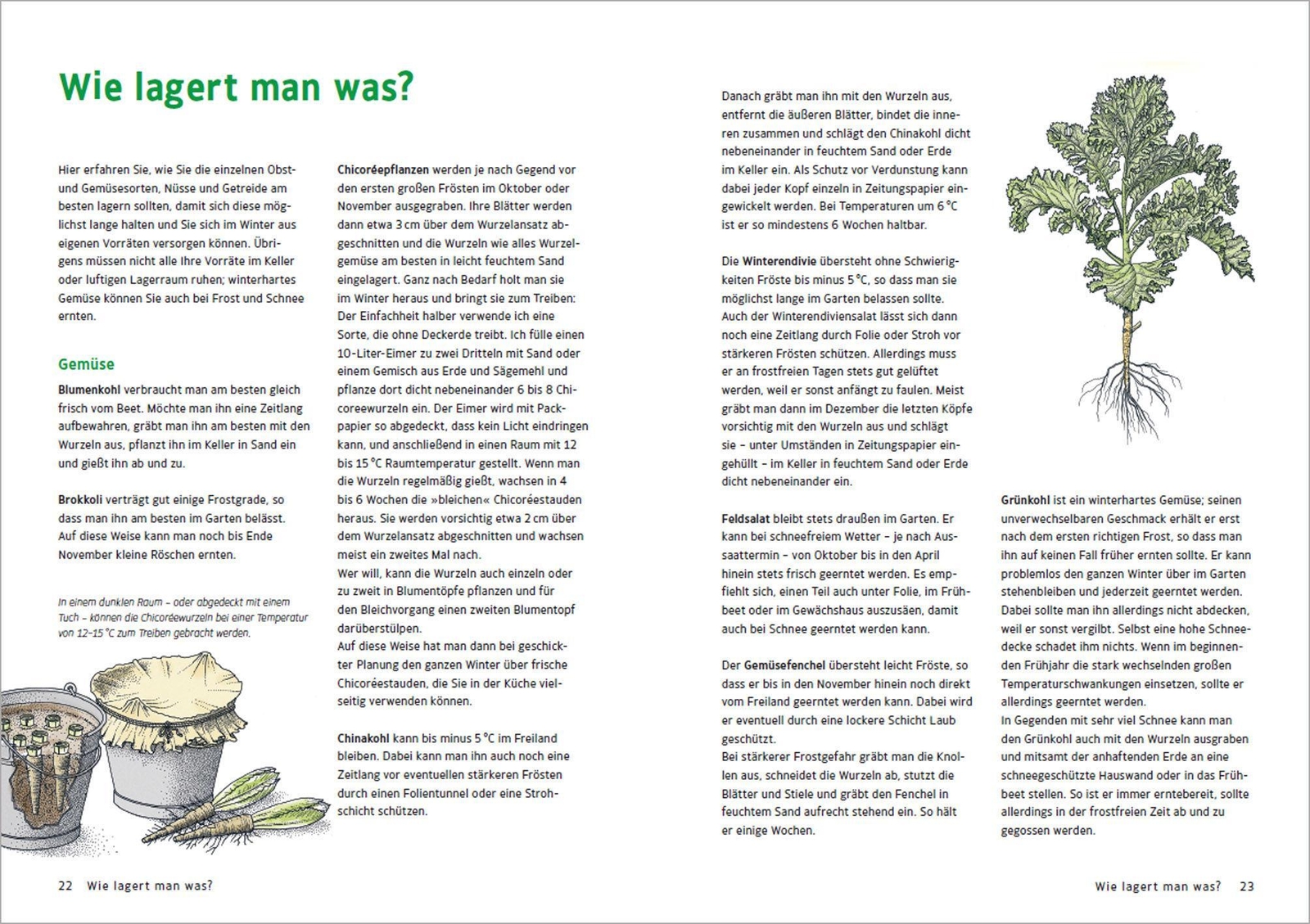 Thumbnail - Obst & Gemüse Natürlich Haltbar Machen - Einlegen, Einkochen,