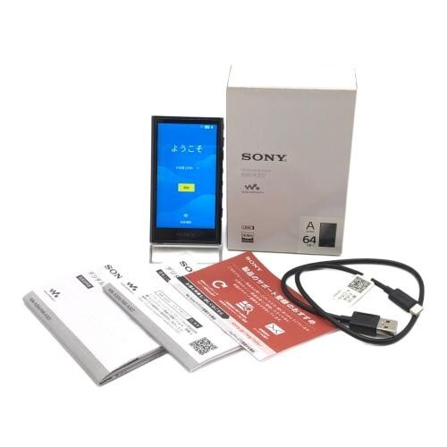 SONY NW-A307 64GB Hi-Res A300 Series Walkman Audio Player - Picture 1 of 10