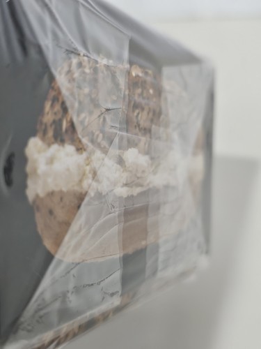 Cards Against Humanity Everything Box Sealed Neu - Bild 7 von 7