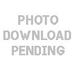 GasGas Gas Gas Service Workshop Shop Manual Book 2024 EX 350 F US - Bild 5 von 24