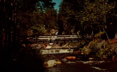 Vintage postcard Picnic Area Small Falls Rangeley Lakes Maine  Chrome Unused