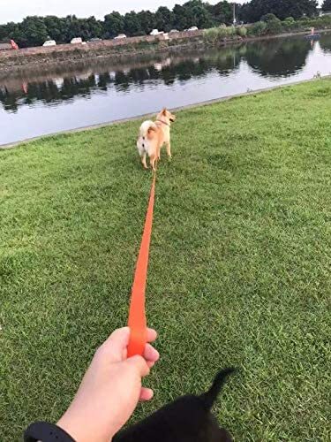 Lange Leine für Tiere 5m/10m/20m Farbe Hund Welpe Lernen - Bild 49 von 49