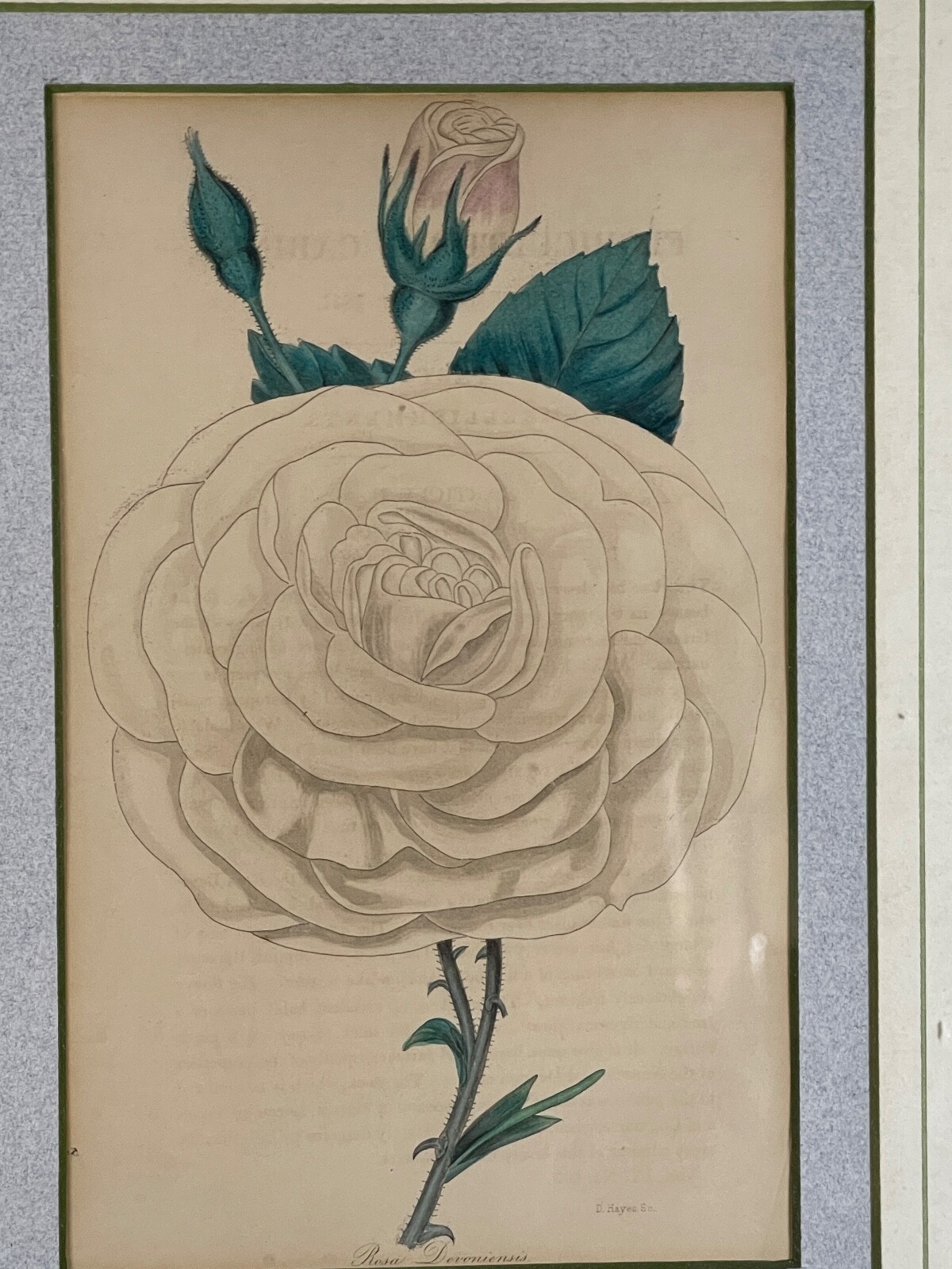Picture 1 of 19