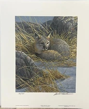Robert BATEMAN Curled Up Swift Fox Art Signed Print LTD Collectible Rare Coyote
