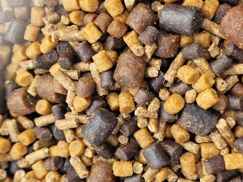 50 Pre Filled Tied PVA Mesh Bags Ellipse , Krill, Bloodworm, Halibut & More - Picture 8 of 25