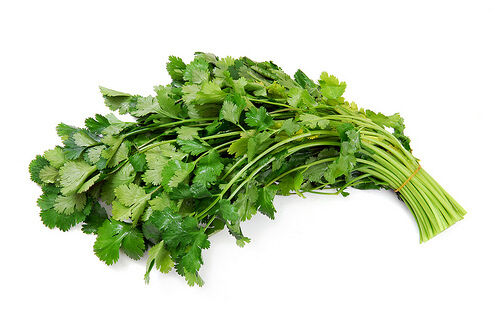 LATIN CILANTRO HERB CORIANDER (Coriandrum sativum) recao cuisine spice 150 seeds - Picture 3 of 5