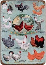 Fresh Eggs Chicken Tin Metal Signs Home D cor 8x12 Farm Meat Collection Vintage