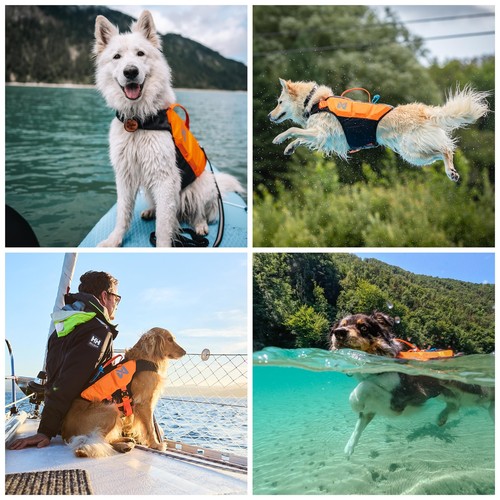 Protector Life Jacket, Innovative Dog Life Jacket, Breathable Dog Swimming Ve... - Bild 8 von 8