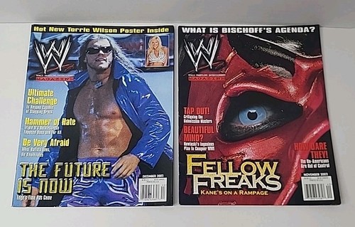 Wrestling Magazines Lot - WWE Raw (9/02-12/02) & WWE Magazine (9/02 - 8/03) - Picture 5 of 10