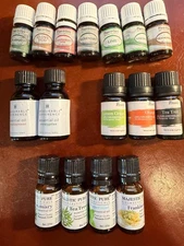 16 Essential Oils 7 Plant Guru 3 Pursonic 4 Majestic Pure 2 Measurable Differenc