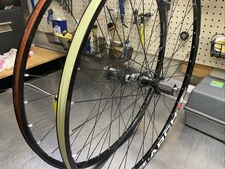 XTR 142mm  Stans Arch EX Rims Double Butted Spokes Wheelset