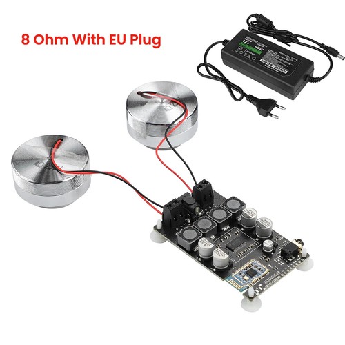 LOTTO Vibrazioni Full Range Altoparlante+Amplificatore+Pina 2In Audio Portatile 4/8Ohm 20/25W - Foto 31 di 33