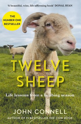 Twelve Sheep: Life lessons from a lambing season By Connell, Joh