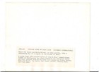 MAMIE VAN DOREN MARTIN MILNER ORIGINAL  8X10 PHOTO BARECHESTED 1960 ADAM & EVE — photo 2