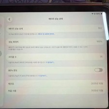iPad Mini 7th Gen 128GB Wi-Fi 100% Battery