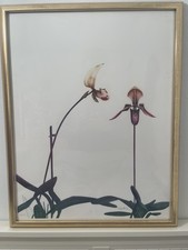 Paul Wunderlich litografia a colori autografata - Orchidea I - WVZ n. 724