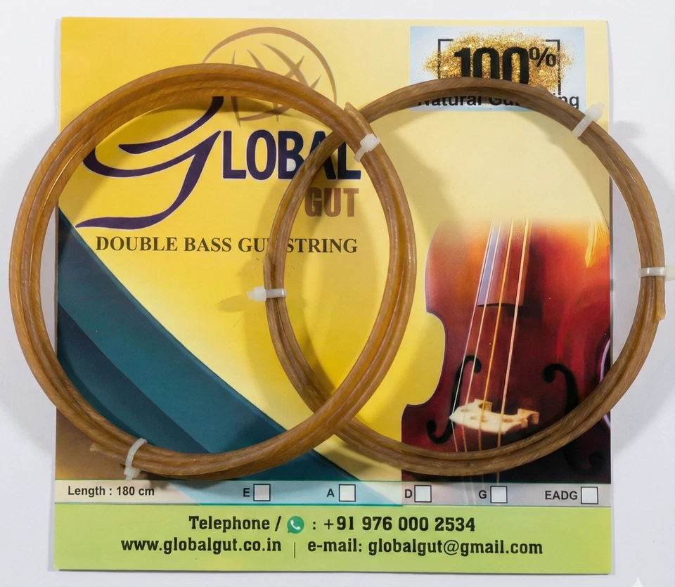 Bajo Doble Intestino Cuerda Vertical 3/4 Cuerdas Natural BUENO-un Juego GD Foto 2 de 4