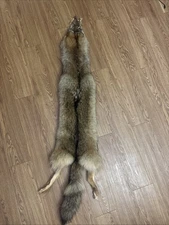 Tanned Coyote Hide for Wall Hanging or Crafts