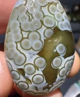 Natural Mongolia Gobi Eye Rough Agate Stone Collection Specimen