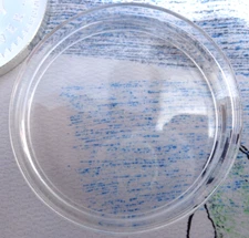 ONE - H39 Capsule fits most silver and copper rounds and coins