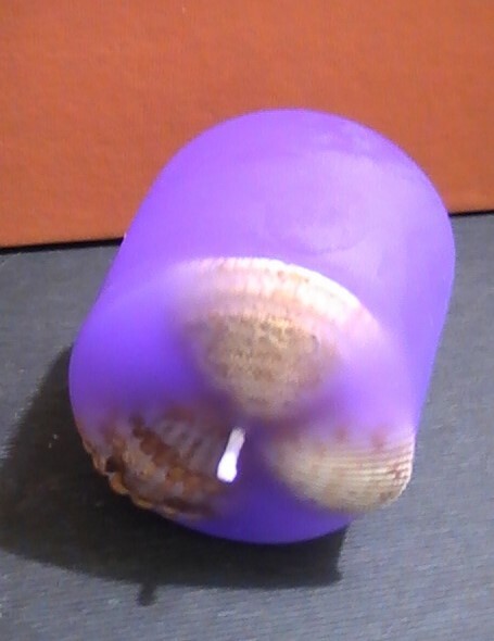 Picture 11 of 12