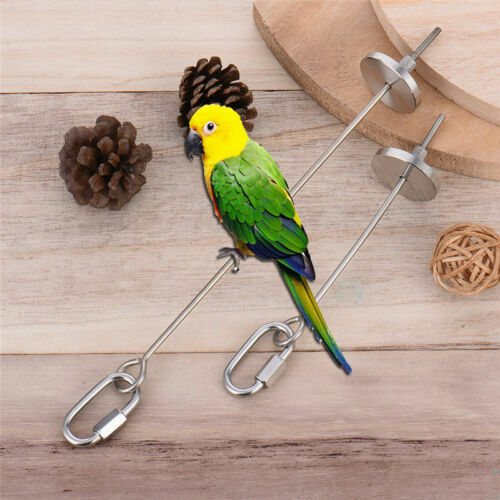 bird toys afterpay