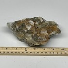 Picture 10 of 11
