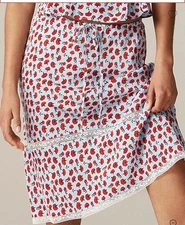 Rouje X JCrew Poème Skirt Blue Carnation Print Paris NY Collab 90s Inspired