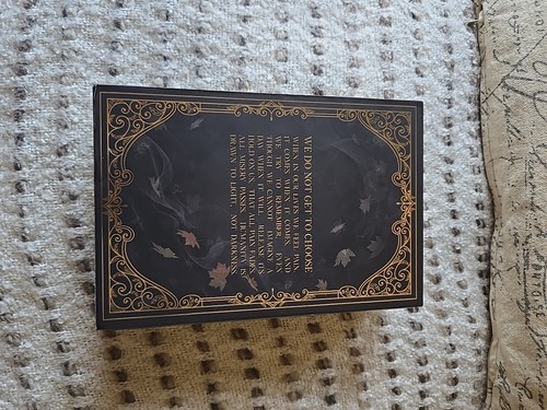 Chain of Gold by Cassandra Clare Exclusive Slipcover by Litjoy Collectible - Afbeelding 2 van 8