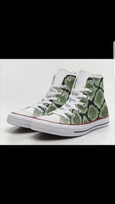 converse alligator shoes