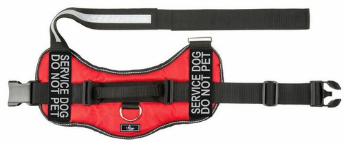 Doggie Stylz SERVICE DOG DO NOT PET Harness Vest Nylon 2 removable patches USA - Picture 7 of 17