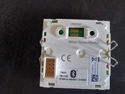 Merten - Wiser Taster Modul 1-fach - MEG5113-0300 wie MEG5116-0300