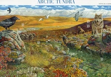 U.S. COMM SHEET OF 10 SCOTT#3802 2003 37ct ARCTIC TUNDRA MNH