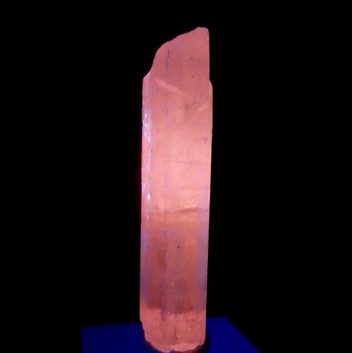 SPODUMENE var. KUNZITE big crystal & LW fluorescent ! ! AFGHANISTAN Kunar /pk099 - Picture 7 of 16