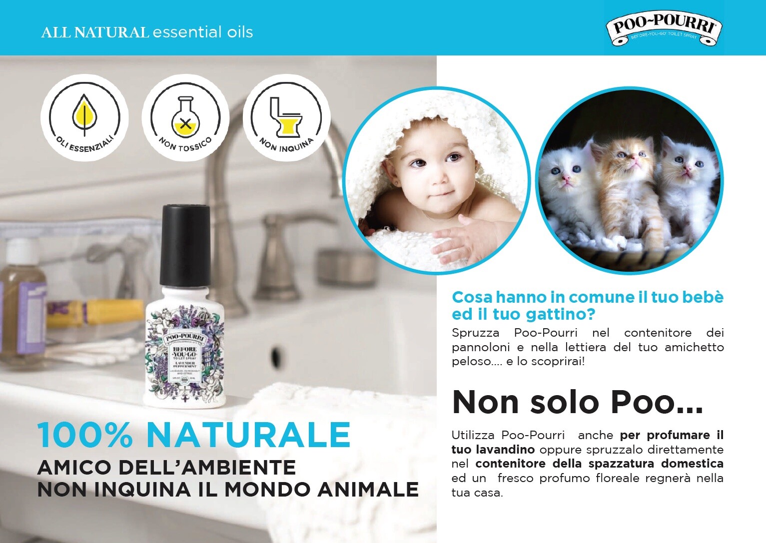 Foto 4 di 9
