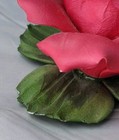 Foto 4 di 10